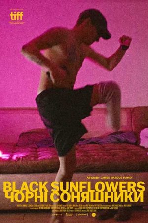 Black Sunflowers (2026) poster