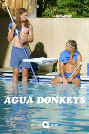 Agua Donkeys (2020) poster