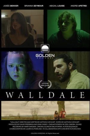 WallDale (2026) poster