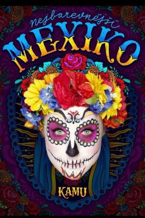Kamu v Mexiku (2018) poster