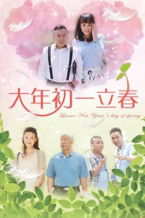 大年初一立春 (2016) poster