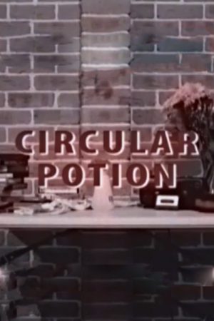 Circular Potion (2017) poster