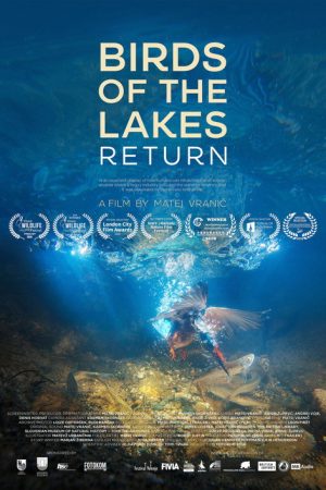 Birds of the Lakes Return (2018) poster