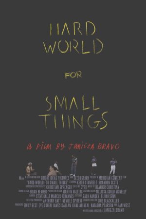 Hard World for Small Things (2016) poster