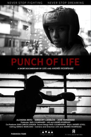 Punch of Life (2021) poster