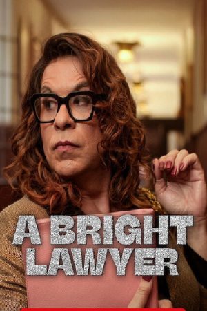 A Bright Lawyer (2025) poster