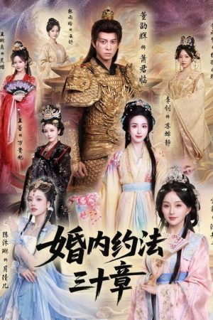 婚内约法三十章 (2026) poster