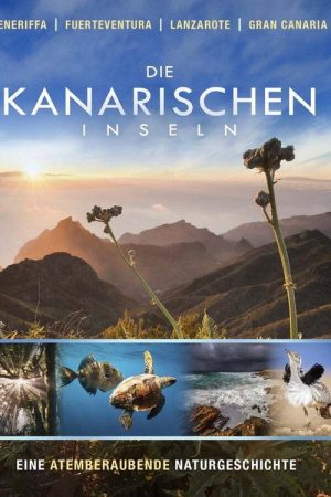 Die Kanarischen Inseln (2016) poster