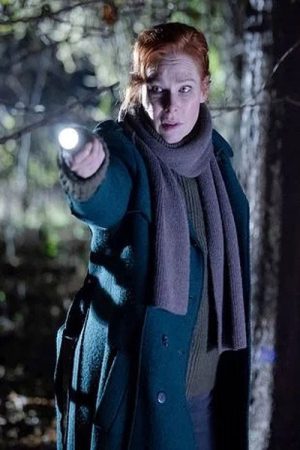Charlotte Link – Einsame Nacht (2025) poster