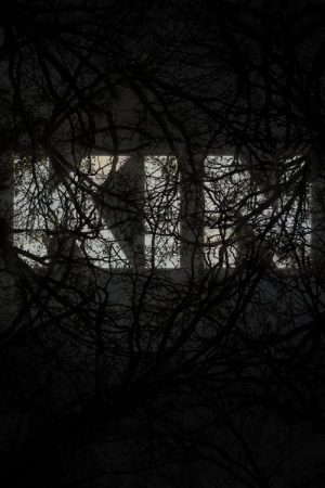 KIN (2022) poster