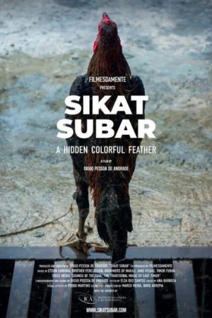 Sikat Subar – A Hidden Colorful Feather (2024) poster