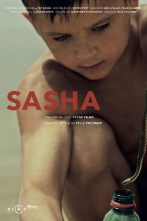 Sasha (2016) poster