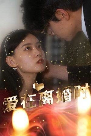 爱在离婚时 (2023) poster
