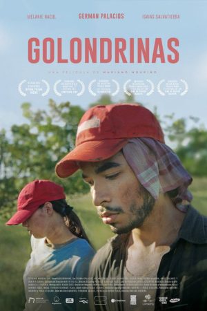Golondrinas (2020) poster