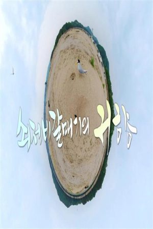 UHD추석 특집 다큐 쇠제비갈매기의 귀향 (2022) poster