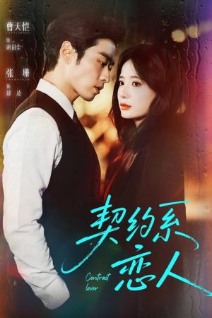 契约系恋人 (2025) poster