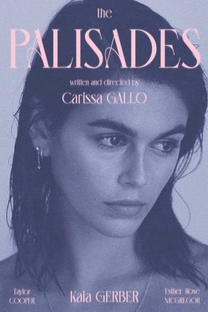 The Palisades (2022) poster