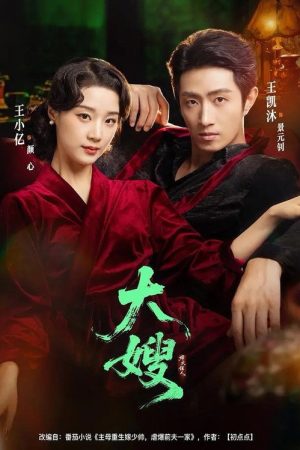 大嫂烽火佳人 (2025) poster