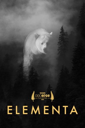 Elementa (2020) poster