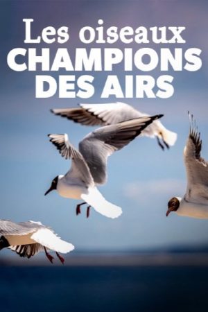 Birds (2023) poster