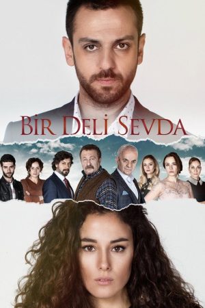Bir Deli Sevda (2017) poster