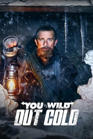 You vs. Wild: Out Cold (2021) poster