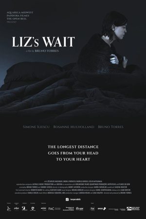 Liz’s Wait (2022) poster