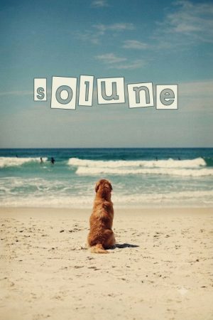 Solune (2024) poster