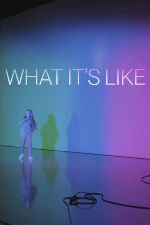 What It’s Like (2017) poster