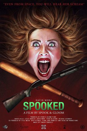 Spooked (2017) poster
