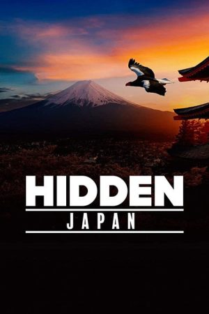 Hidden Japan (2020) poster