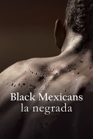Black Mexicans (2018) poster