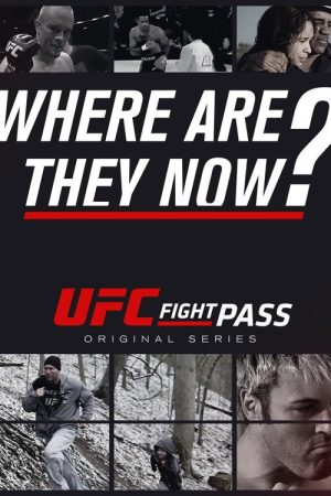 UFC: Where Are They Now? (2016) poster