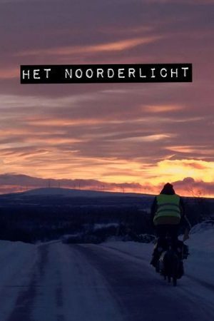 The Northern Lights (2021) poster