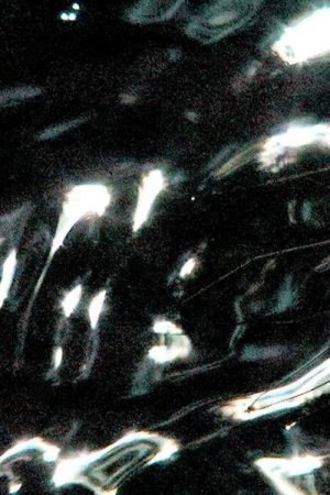 Gerridae (2020) poster