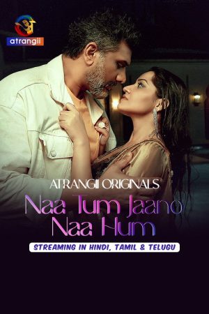 Naa Tum Jaano Naa Hum (2025) poster
