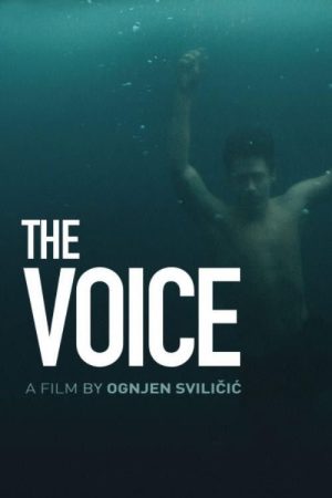 The Voice (2019) poster