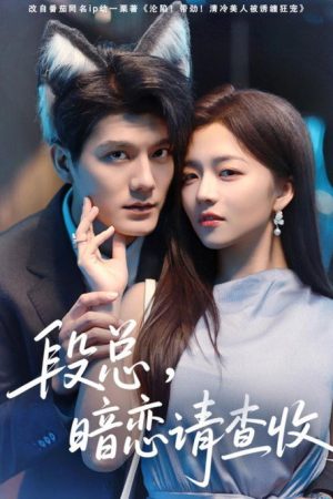 段总，暗恋请查收 (2025) poster