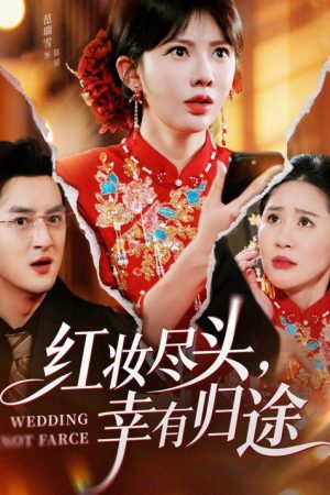 红妆尽头，幸有归途 (2026) poster
