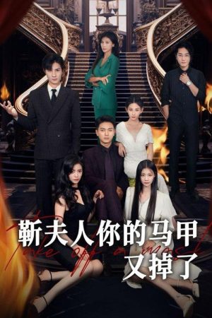靳夫人你的马甲又掉了 (2023) poster
