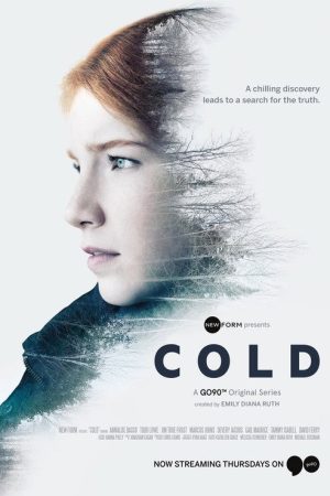 Холод (2016) poster