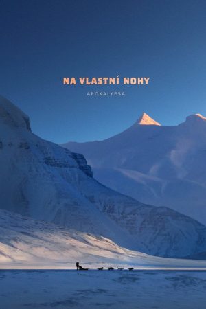 Na vlastní nohy (2018) poster