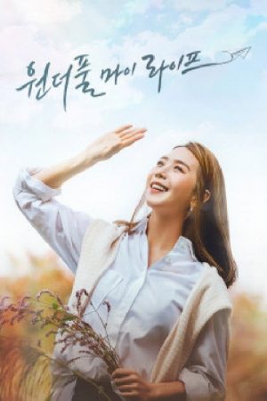 원더풀 마이 라이프 (2020) poster