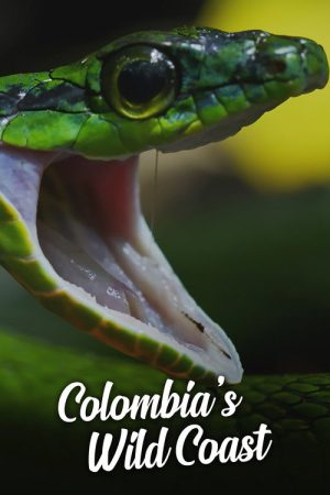 Colombia’s Wild Coast (2018) poster