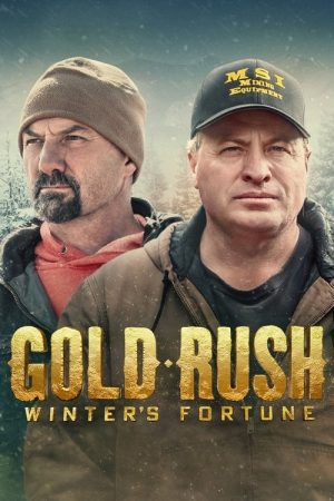 Gold Rush: Winter’s Fortune (2021) poster