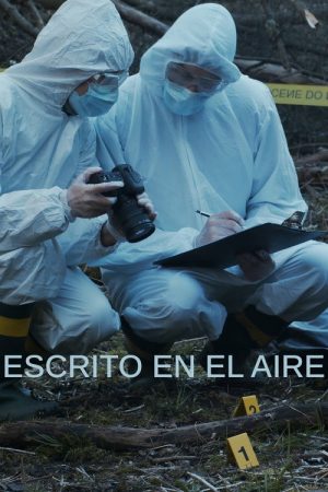 Escrito en el aire (2017) poster