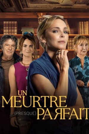 Un meurtre (presque) parfait (2025) poster
