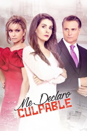 Me declaro culpable (2017) poster