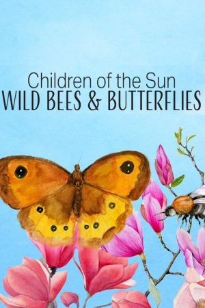 Children of the Sun – Wild Bees & Butterflies (2017) poster