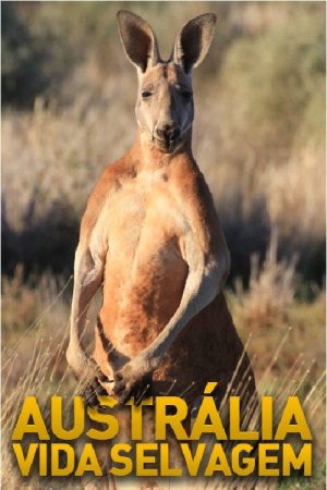 Australian Wildlife (2017) poster
